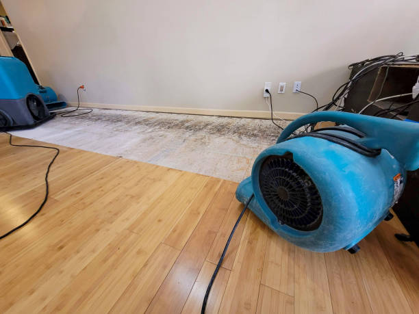Professional Basement Flood Cleanup technician working in Bridgeport, WA